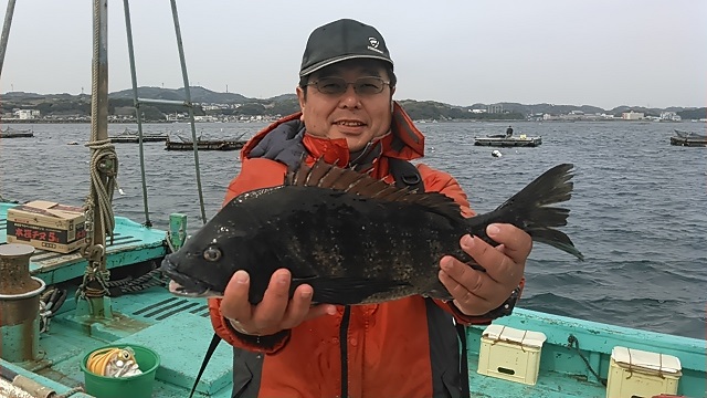 クロダイ長井かかり釣り2015年4月12日