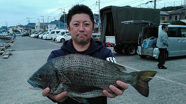 クロダイ長井かかり釣り2015年11月7日