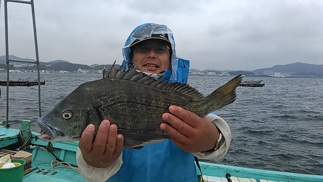 クロダイの長井かかり釣り大物情報2015年3月7日