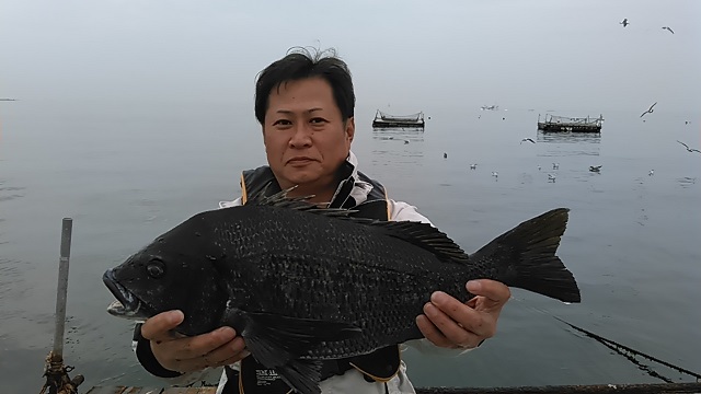 クロダイの長井かかり釣り2015年3月20日